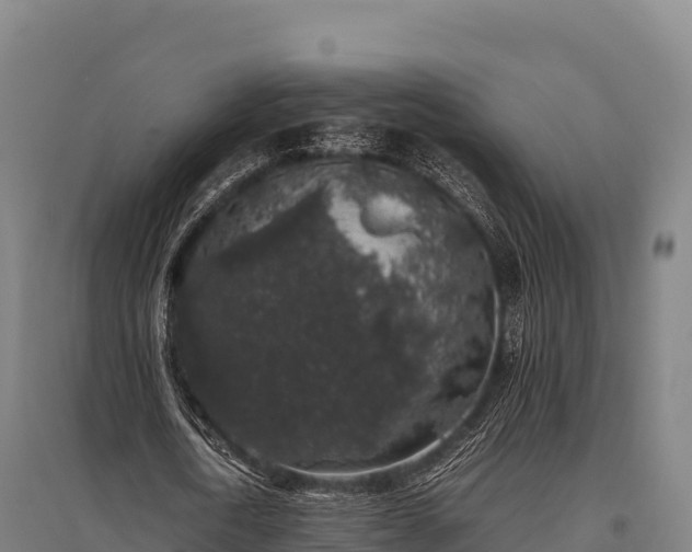 X0000095950722200801181421