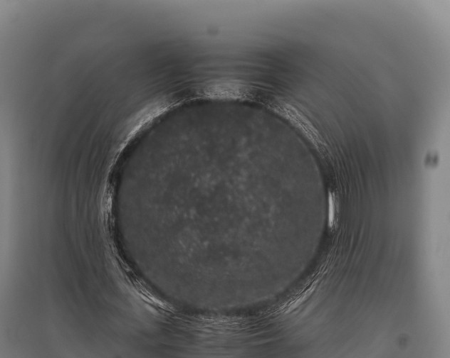 X0000095950723200801181421