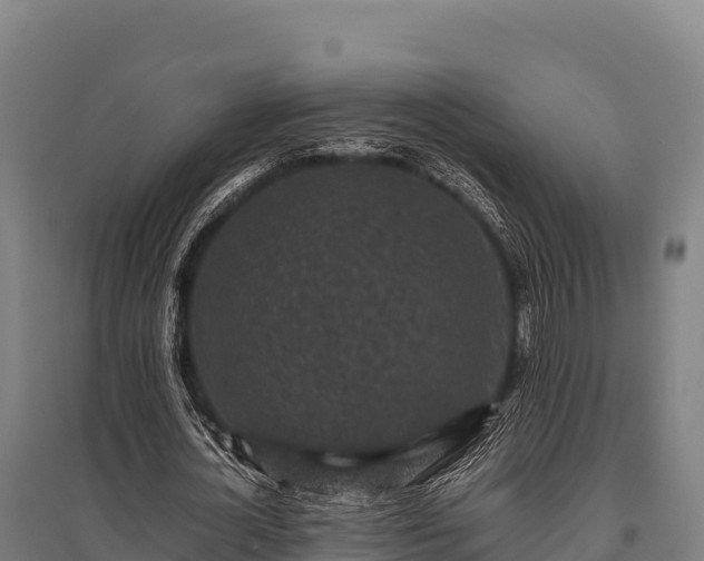 X0000095950724200801181422