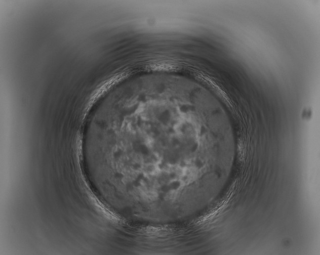 X0000095950725200801181422