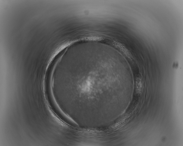 X0000095950726200801181422