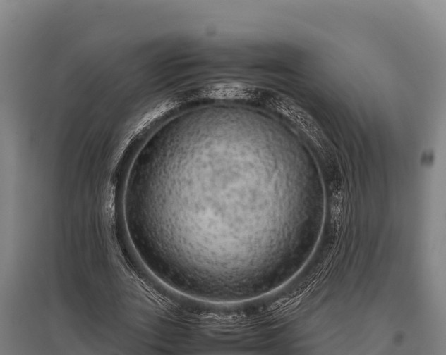 X0000095950727200801181422