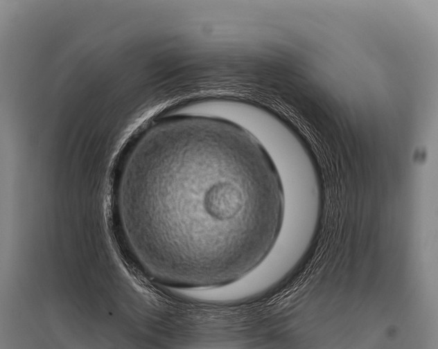 X0000095950728200801181422