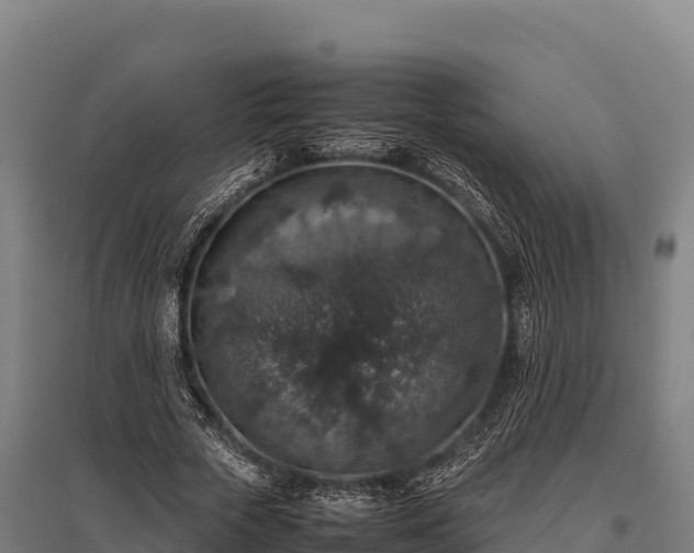 X0000095950729200801181422