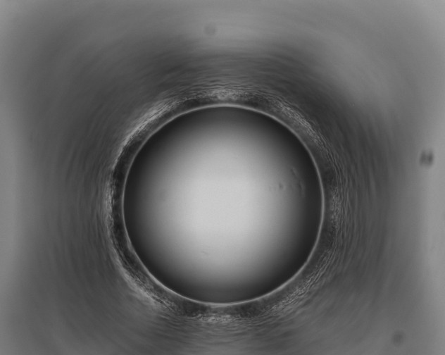 X0000095950730200801181422