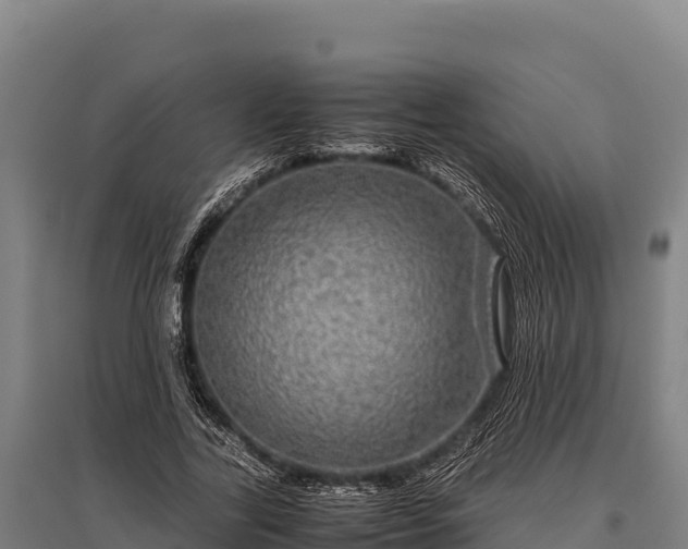 X0000095950731200801181422