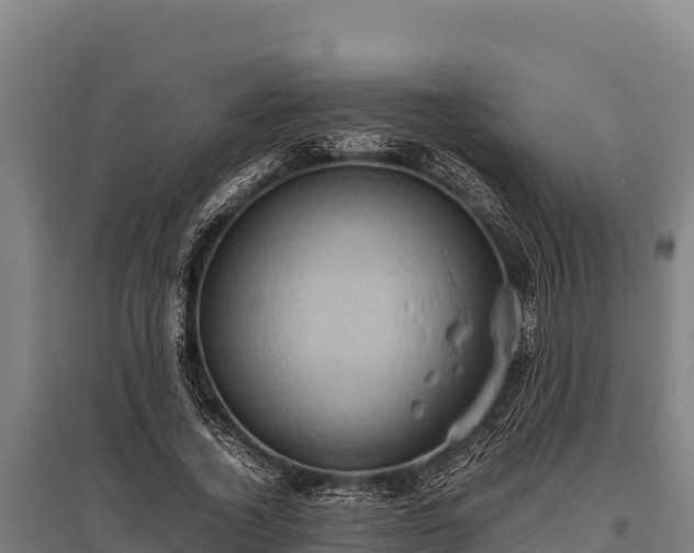 X0000095950732200801181422