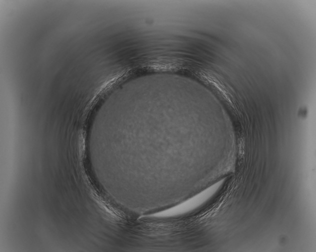 X0000095950733200801181422