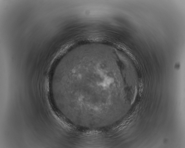 X0000095950734200801181422