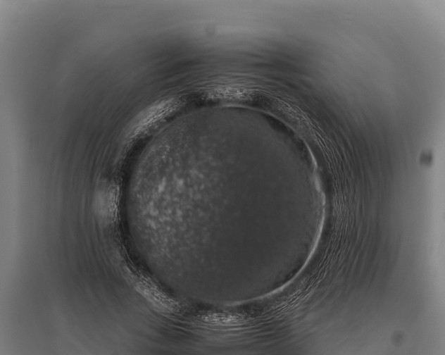 X0000095950735200801181422