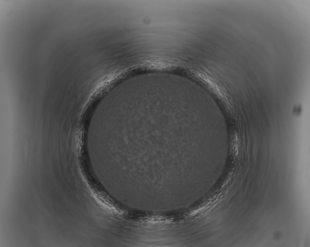 X0000095950736200801181422