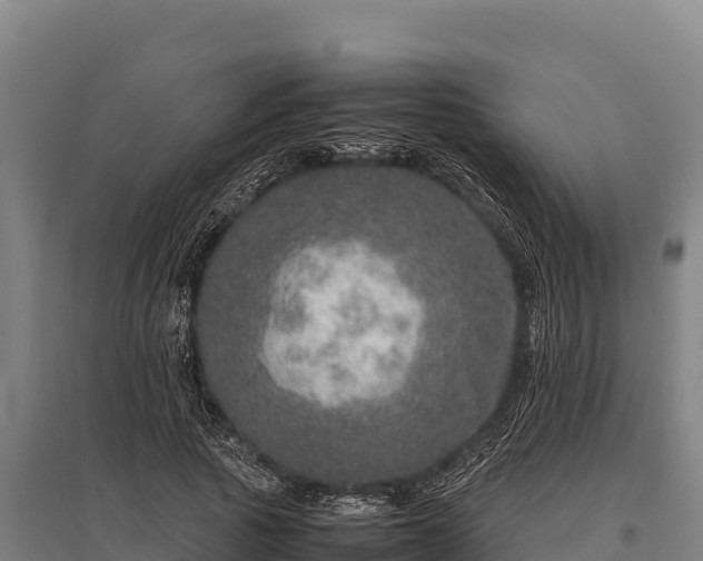 X0000095950737200801181422