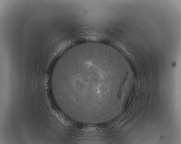 X0000095950738200801181422