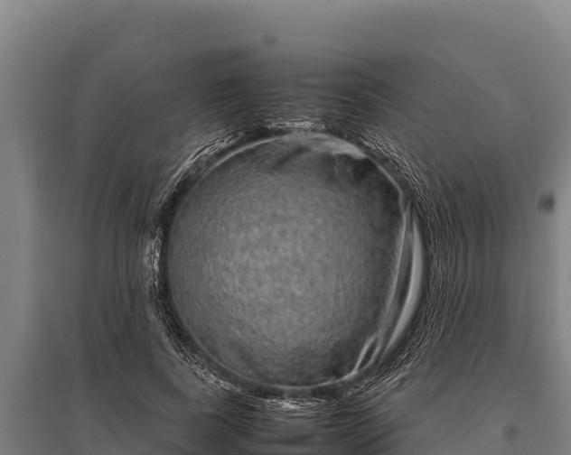 X0000095950739200801181422