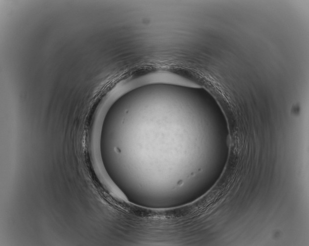 X0000095950740200801181422