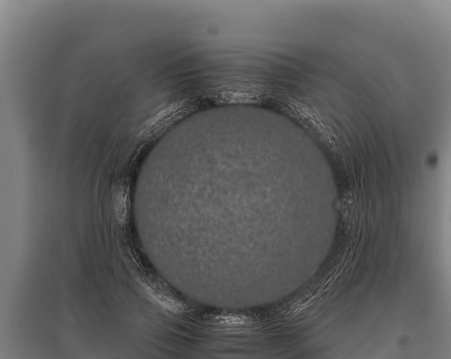 X0000095950741200801181422