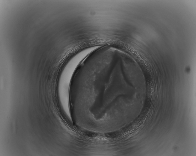 X0000095950742200801181422