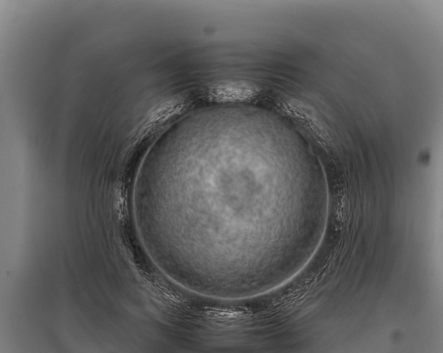 X0000095950743200801181422