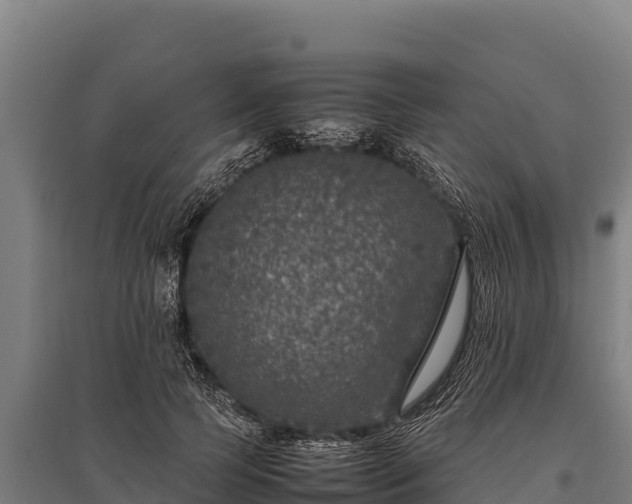 X0000095950745200801181422