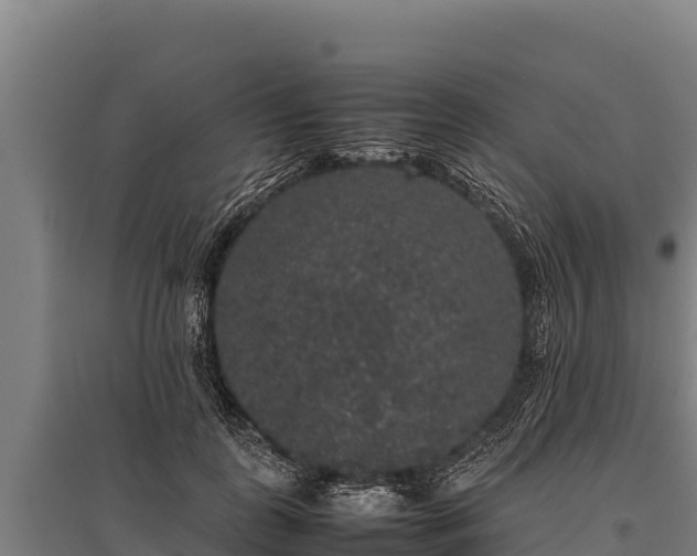 X0000095950747200801181422