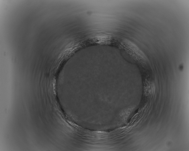 X0000095950748200801181422