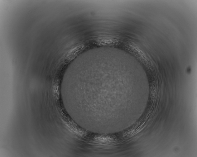 X0000095950749200801181422