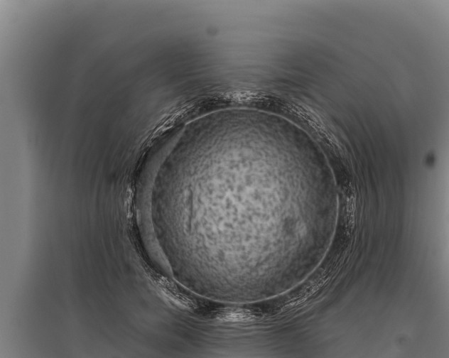 X0000095950750200801181422