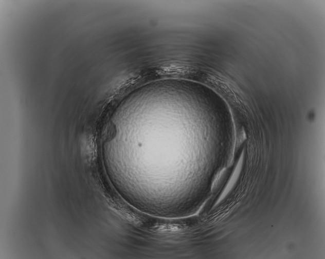 X0000095950751200801181422