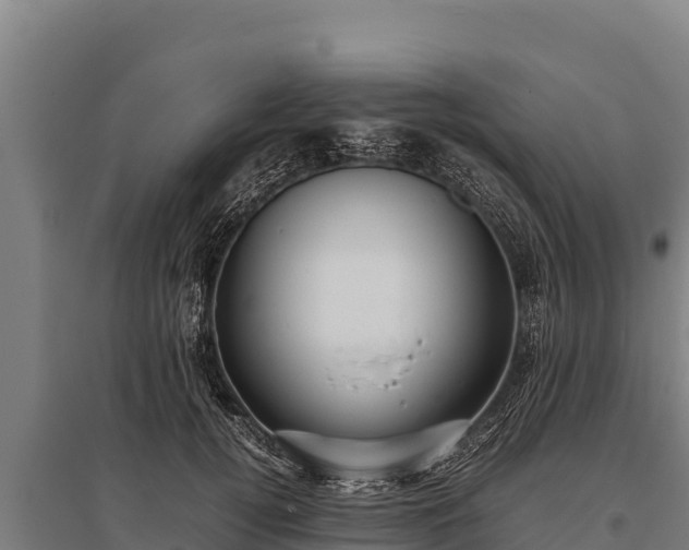 X0000095950752200801181422