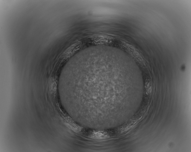 X0000095950753200801181422