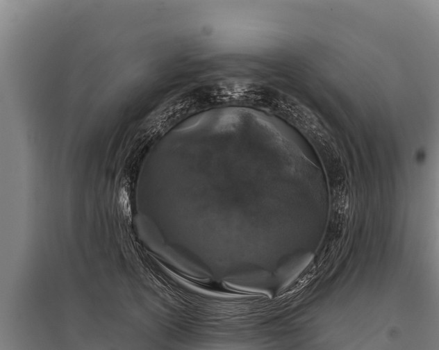 X0000095950754200801181422