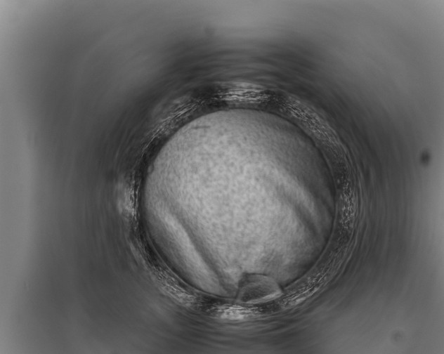 X0000095950755200801181422