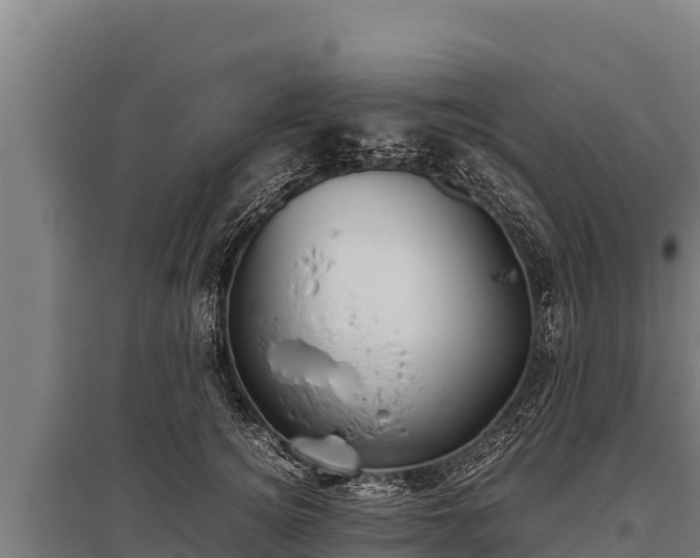 X0000095950756200801181422