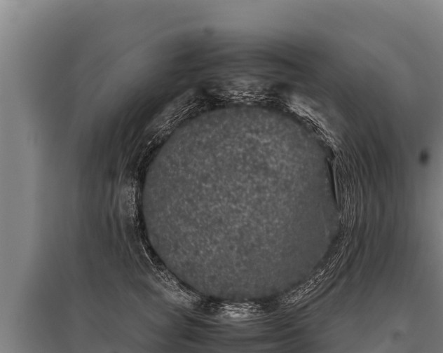 X0000095950757200801181422