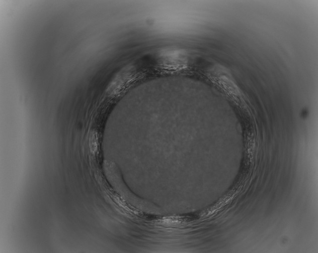 X0000095950758200801181422