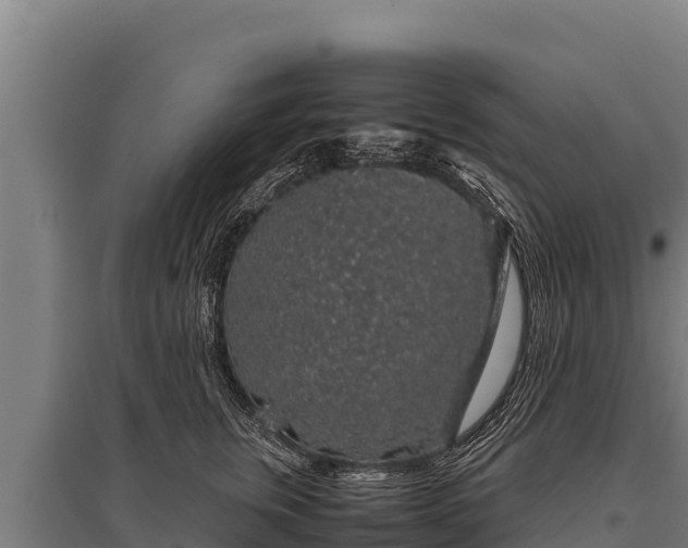 X0000095950759200801181422