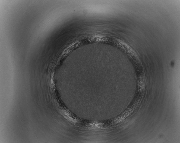 X0000095950760200801181422