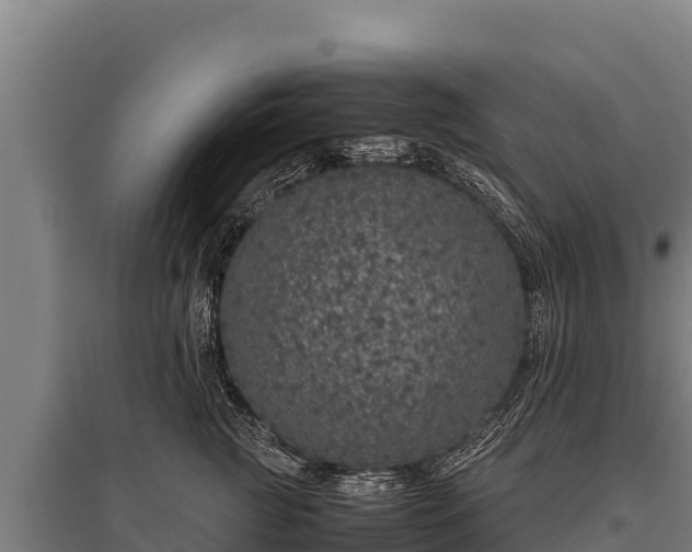 X0000095950761200801181422