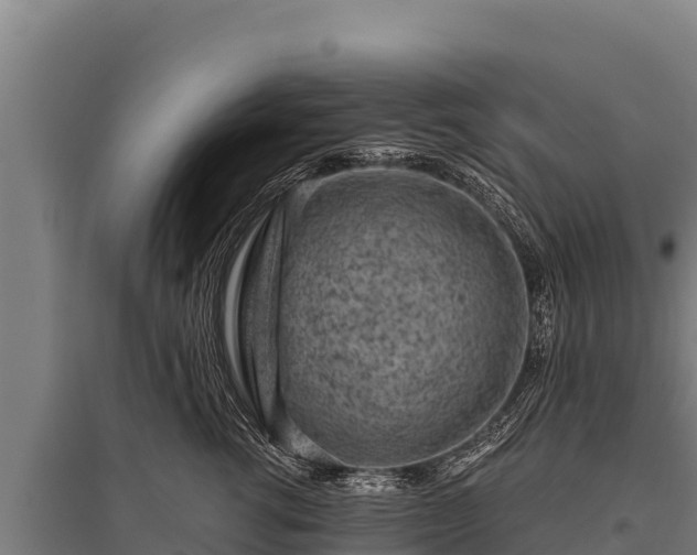 X0000095950762200801181422