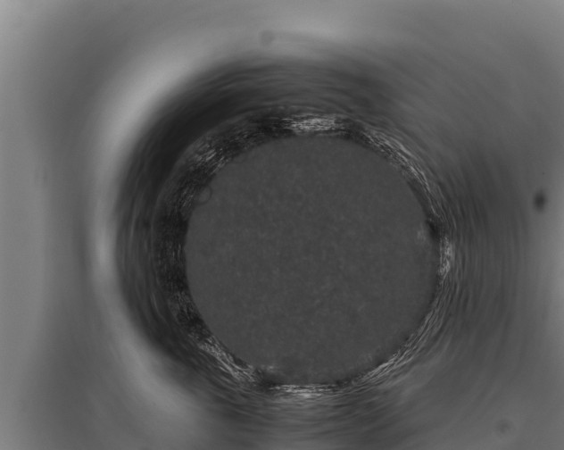 X0000095950763200801181422