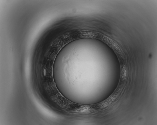 X0000095950764200801181422