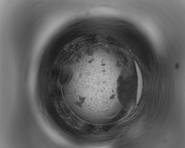 X0000095950765200801181422