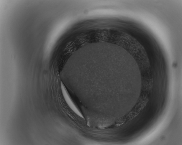 X0000095950766200801181422