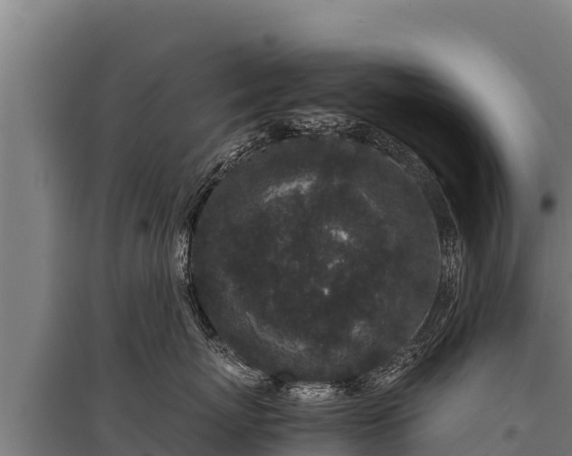 X0000095950767200801181422