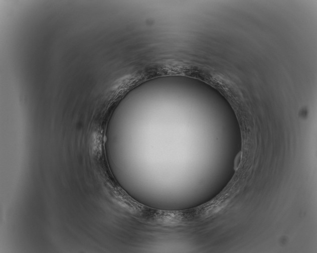 X0000095950768200801181422