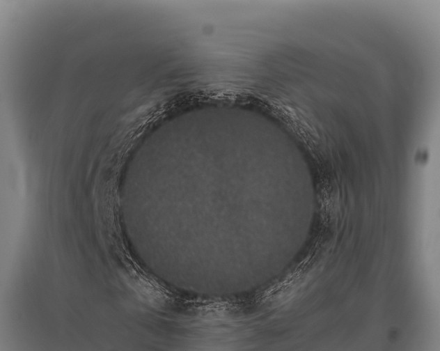 X0000095950769200801181421