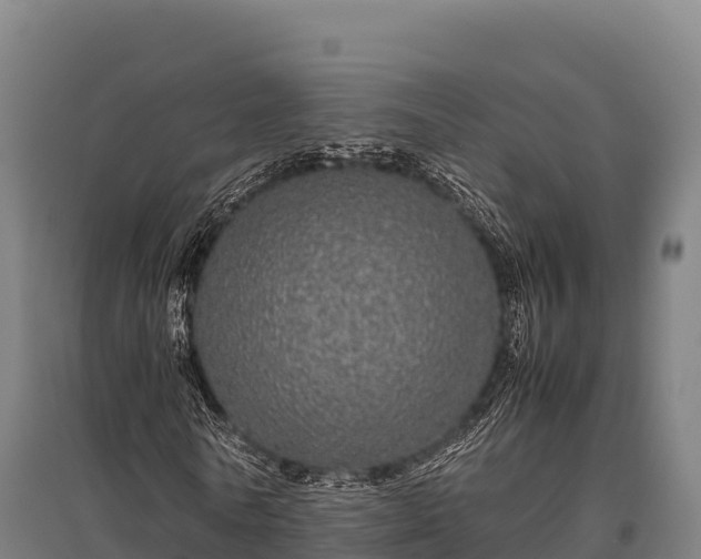 X0000095950770200801181421