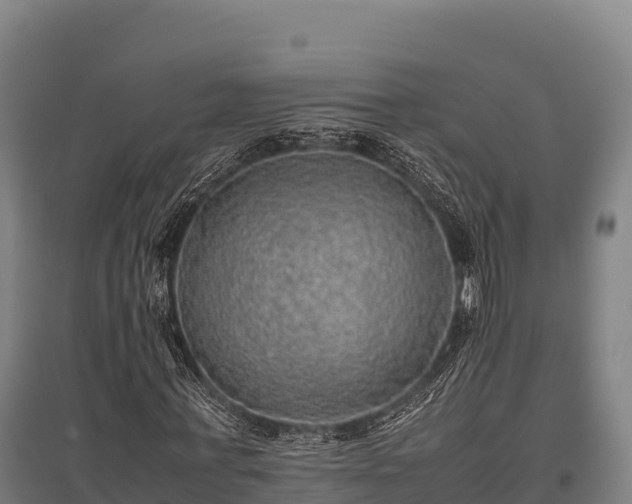 X0000095950771200801181421