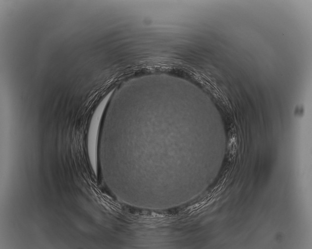 X0000095950772200801181421