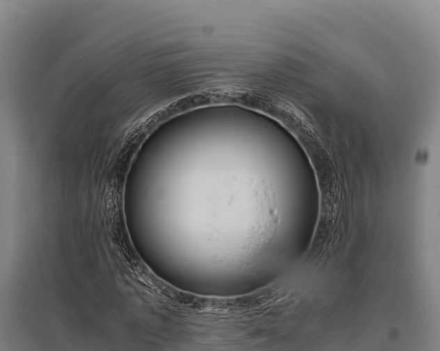 X0000095950773200801181421